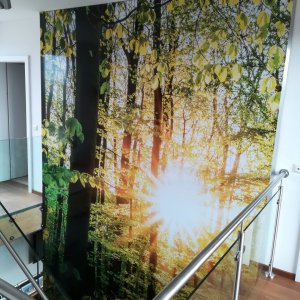 Musterhauspark, Graz